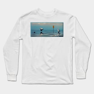 Slow Pelican Xing Long Sleeve T-Shirt